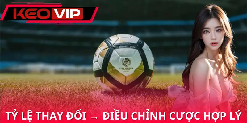 Cần xem xét biến động khi chơi kèo chấp 0/0.5